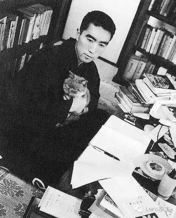 盘点猫奴作家：那些热爱猫咪的文人们啊……