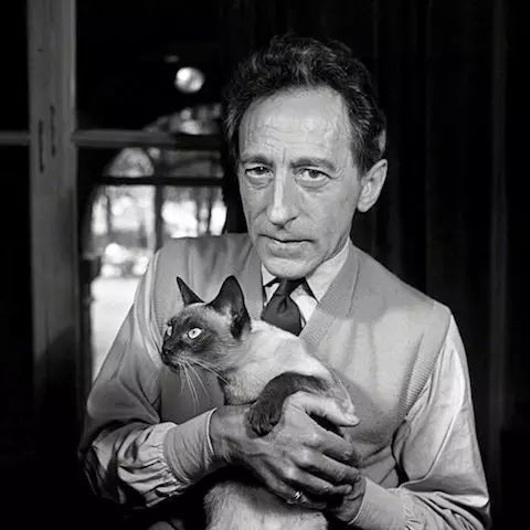 盘点猫奴作家：那些热爱猫咪的文人们啊……