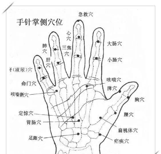 世界艾乡资讯-脑梗心梗抢救穴位:心点穴-艾灸资讯-世界艾乡官方网站