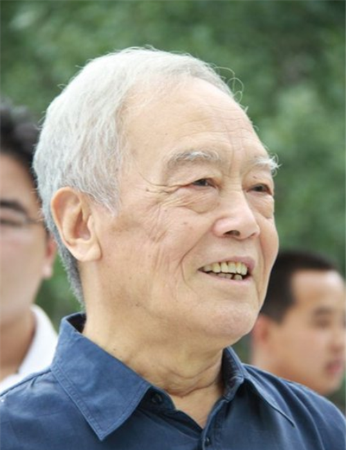 生一儿子,却让亲生父子关系破冰|儿子|妻子|季承|季羡林|马小琴|母亲