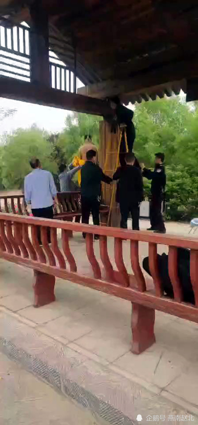 保定一男子公园凉亭上自缢,被发现时已经身亡_腾讯新闻