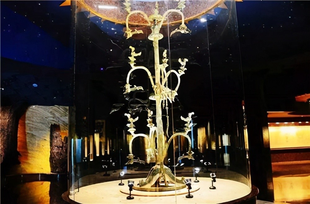 你知道吗 有一种树古人认为它是神树,甚至视为通三界的通道