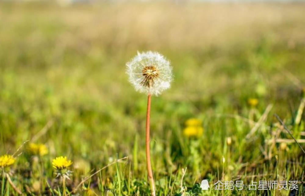 5月13日起好运复苏 哪些星座财富大满贯呢 腾讯新闻