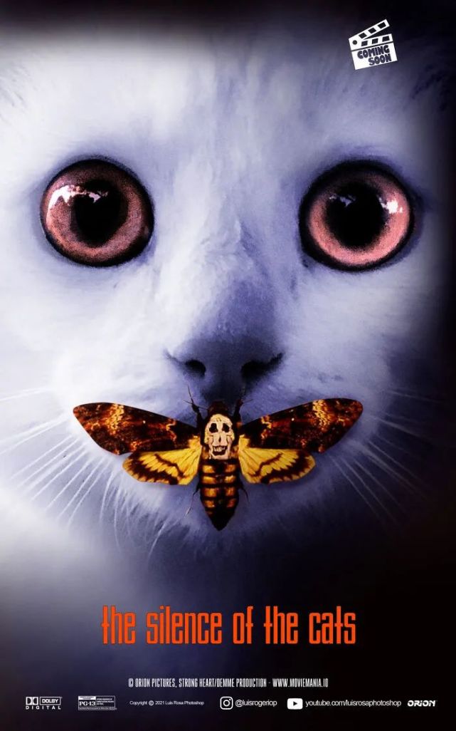 猫客帝国5,黑猫6,小丑(gou)7,闪电猫8,终结狗9,小猫难缠10,闪灵11