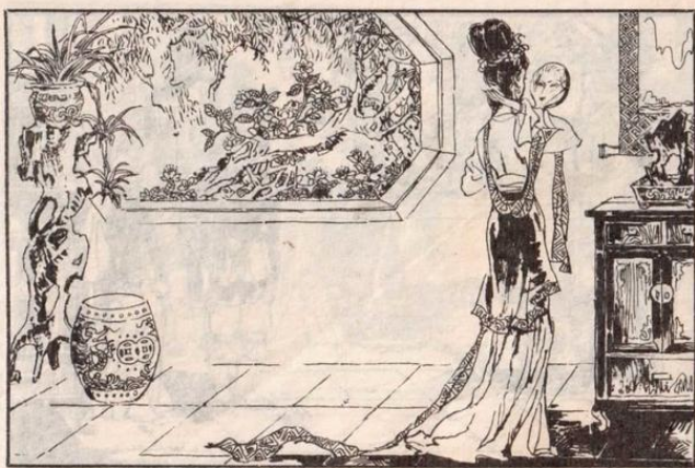 清朝奇案荒唐母子情酿成人伦惨剧真相残酷