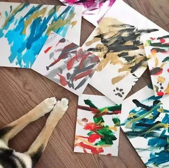 狗中毕加索猪也开画展看了这些动物界艺术家网友这多