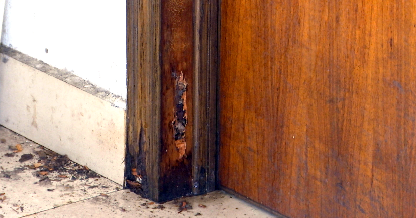 市民家中的门框已被白蚁侵蚀腐烂.