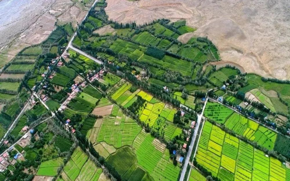 暖湿周期:沙漠变绿洲,新疆变粮仓,无法阻挡的国运!