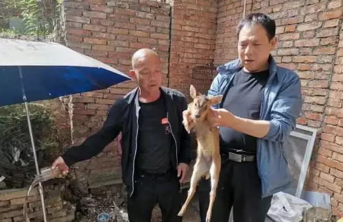 接警后,民警郭长辉,卫伟立即到达现场处置,到达现场后,发现一条长约一