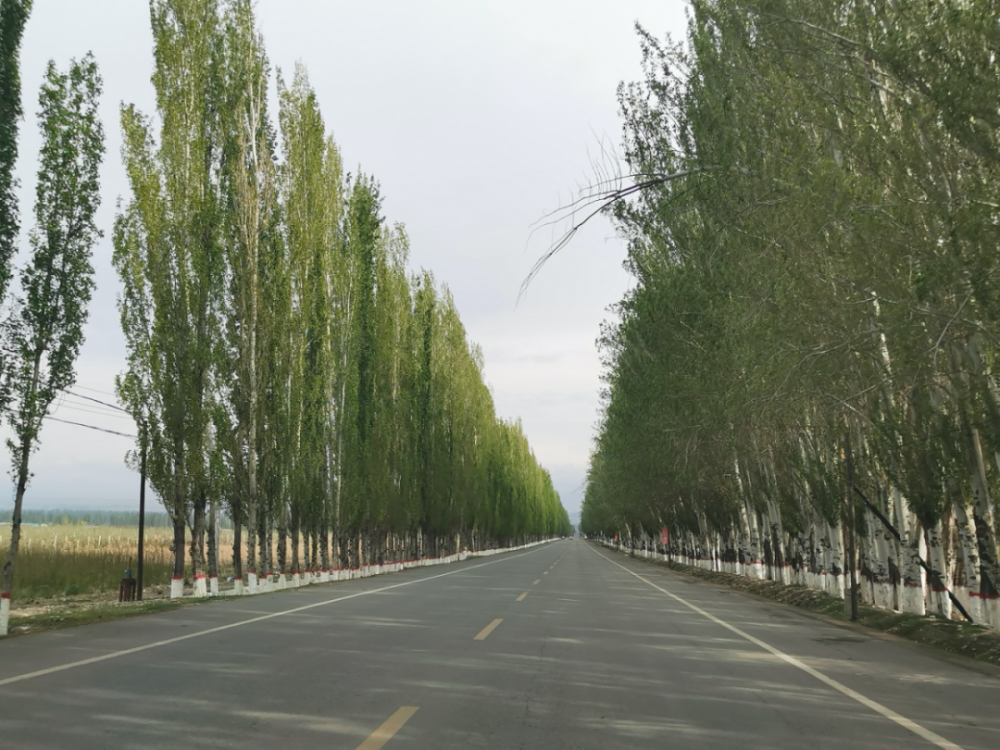 职人丨30岁,从北京回到伊犁_腾讯新闻