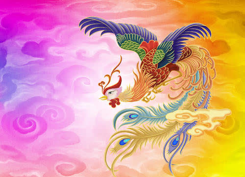 山西农民深山放羊发现金凤凰定时投喂4年后却有意外收获