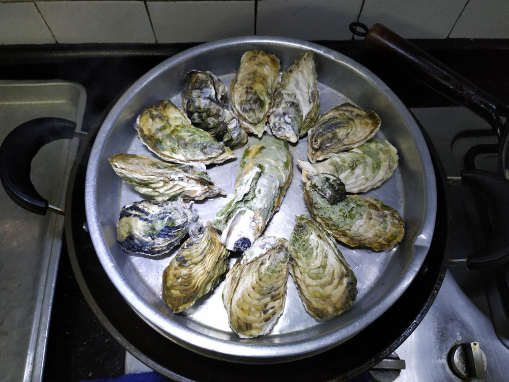清蒸生蚝怎么做简直太太太简单了5分钟就学会清蒸生蚝