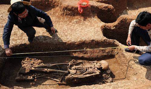 随着金莲山上万人坑的遗骸一具一具被清理出来,考古专家们发现那些被