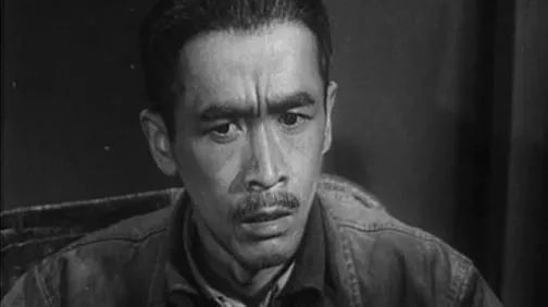 导演:王少岩 赵