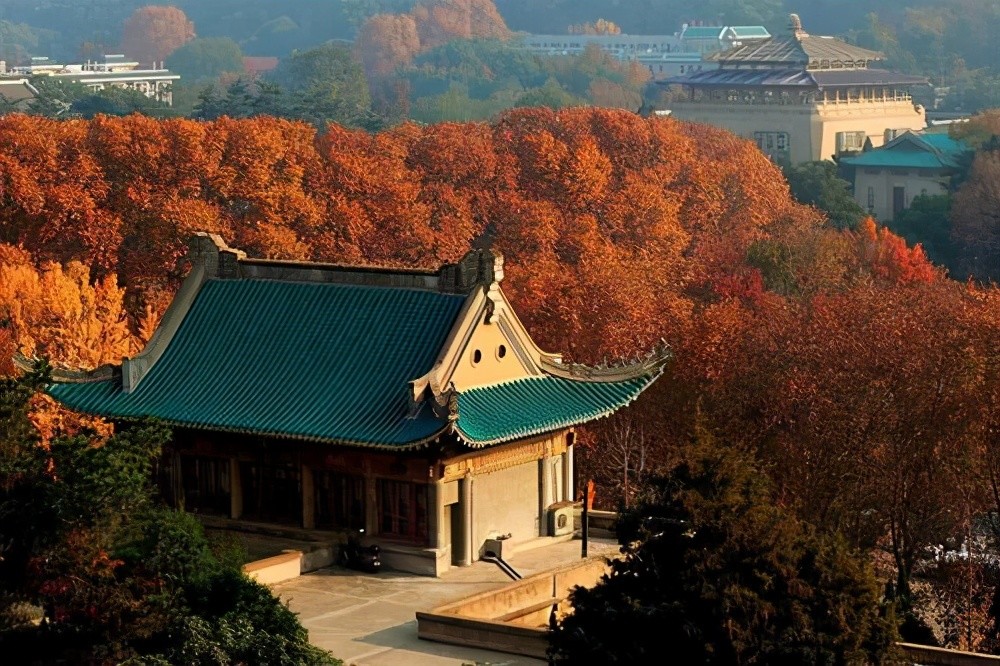 河北省大學文科排名_山東文科排名的大學_文科大學排名