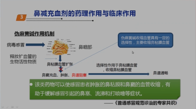 無鹽痠麻黃鹼產生的明顯心血管副作用;· 普通感冒或存在鼻塞,流涕