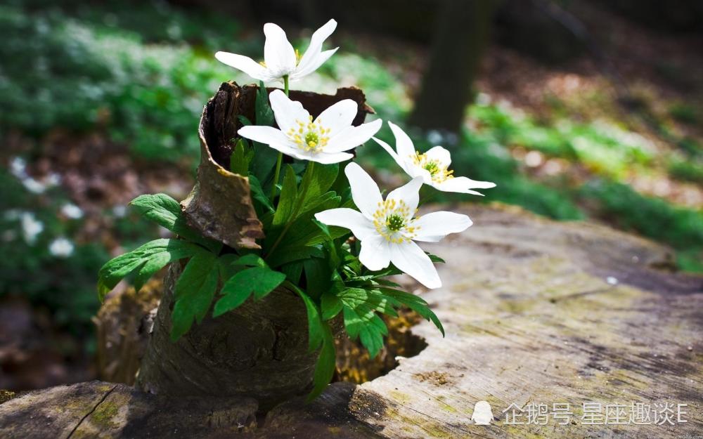 5月14日星座运势 重拾锐气 后来居上的四大星座 腾讯新闻