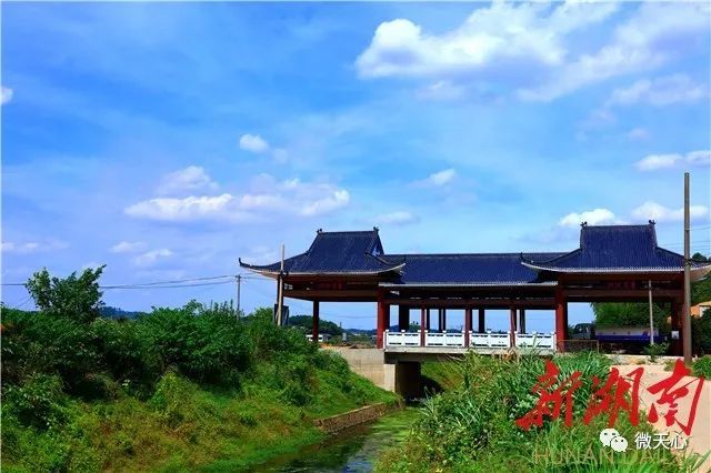 (暮云街道暮云新村官桥湖沿线.