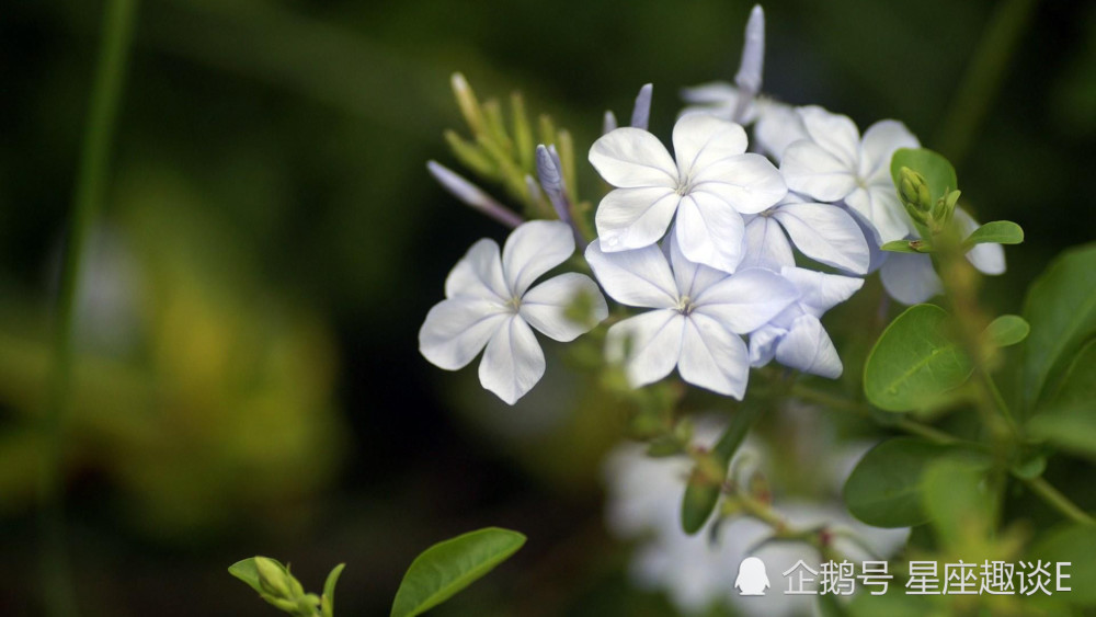 5月14日星座运势 双子头脑清醒 天蝎贵人相助 摩羯见解独到 腾讯新闻