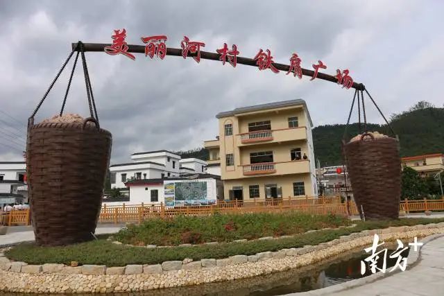 新兴:扎实做好"三农"工作 确保实现"十四五"良好开局|新兴县|太平镇