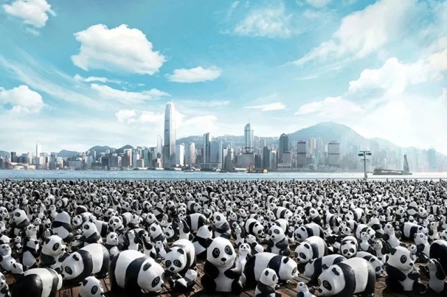 5月15日-19日 熊猫来袭·萌动郴城 ——盛世华庭熊猫展