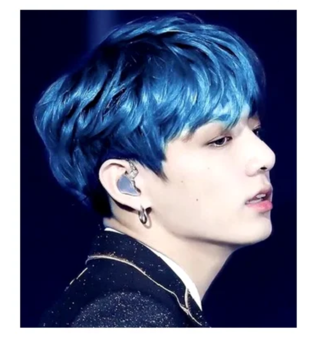 完美的形象概念的先行实践者防弹少年团粉丝幻想成真