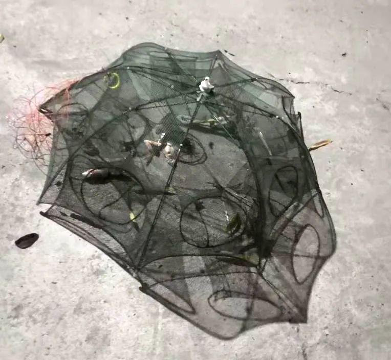 顶风作案!邻水一男子非法捕鱼把自己"捕"进法网_腾讯新闻