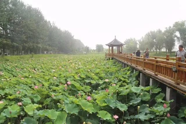 范县三十六记之毛楼风景神游记濮上新语