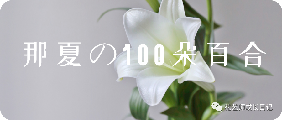 100朵百合vol 2 童年抹茶色百合 给初夏一抹清凉 腾讯新闻