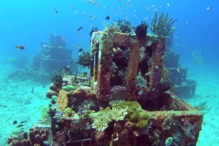 海底报告人工鱼礁图片