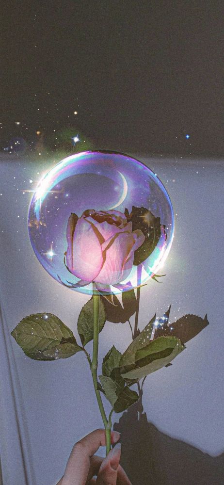 Iphone壁纸 热门苹果壁纸高清5 13 腾讯新闻