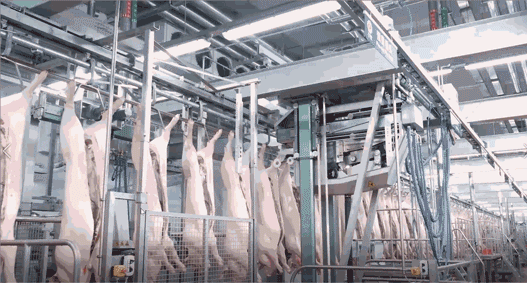 指定肉类供应商|正大食品有限公司|国家体育总局|正大集团|山西|猪肉