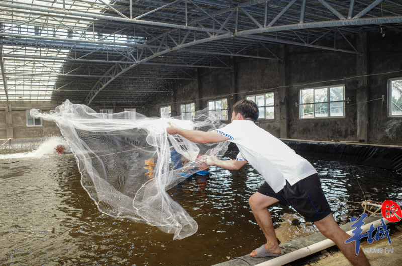 一起到湛江来当逮虾户吧丨沿着高速看中国广东