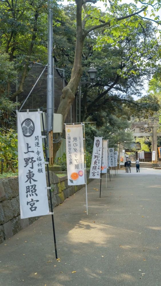 壁纸 希望我能成为你的小众喜好 腾讯新闻