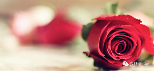 5月14日玫瑰情人节 一年竟有16个情人节 要不要看 你的婚礼 腾讯新闻