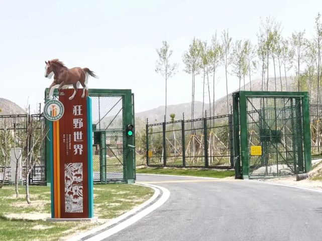 蘭州市動物園|再見不是離開,只是新的開始