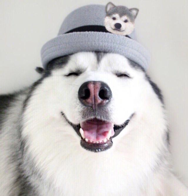 搞笑至极的开心段子让你笑到满地找牙