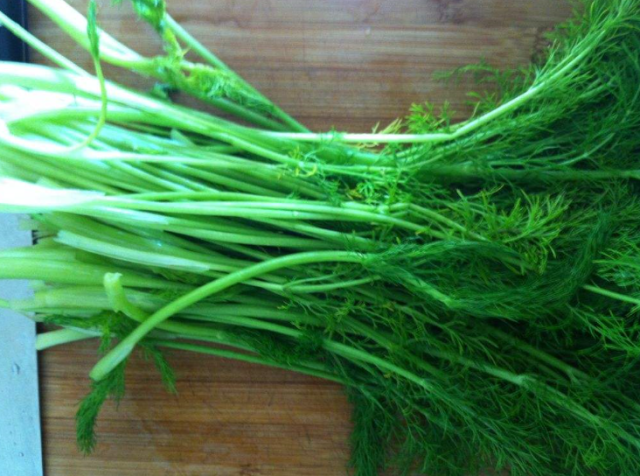 茴香味道重,很多人不喜欢,其实经常吃茴香有5点好处,来了解下