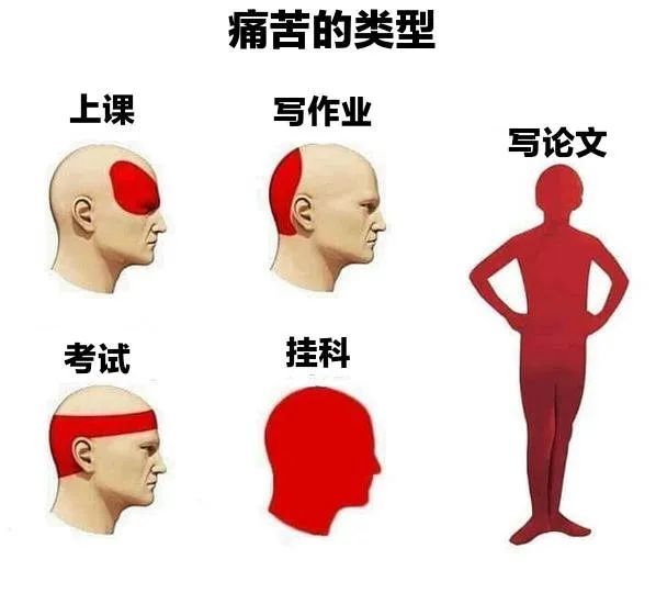 论文表情包