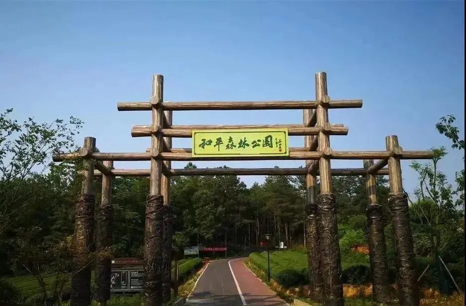 和平森林公园位于湾沚区红杨镇,公园内森林植被近万亩,素有"天然氧吧