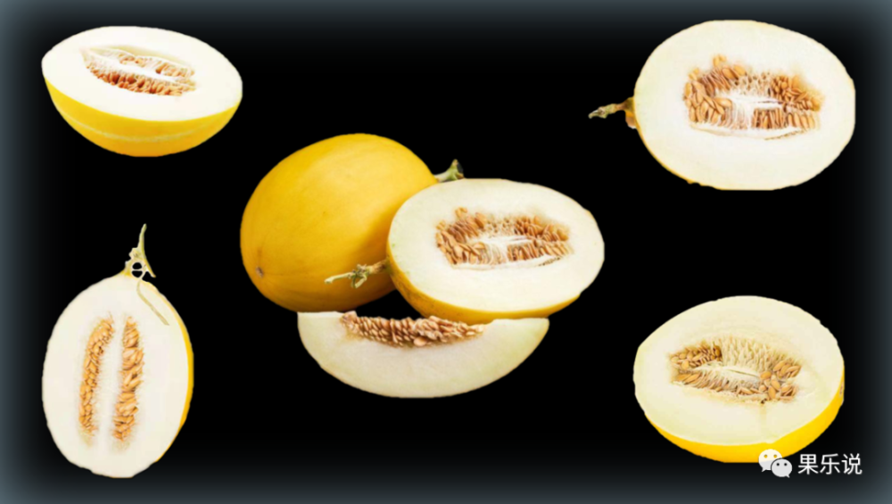 常见甜瓜类八海南金香玉蜜瓜