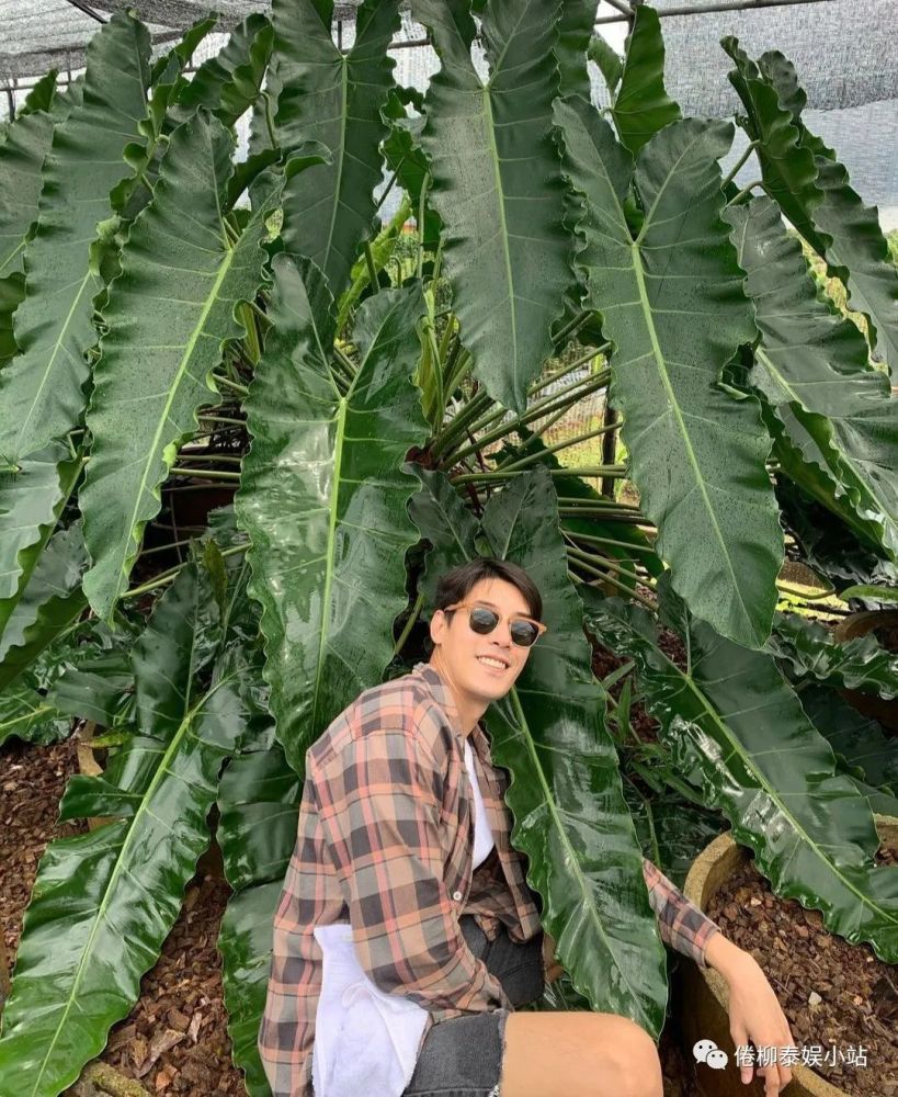 泰星kenp否认与esther分手只是一次小小的别扭现在已经和好了