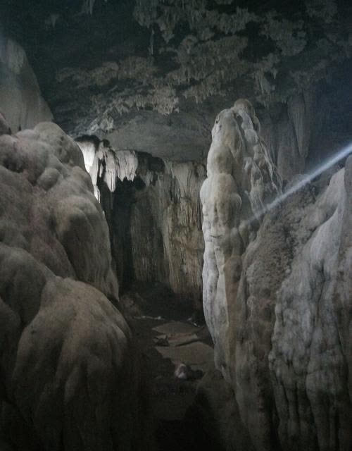 湖南一石洞中发现"真龙",村民不敢靠近,专家:起码躺了上亿年