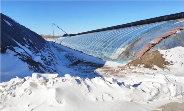 冬季大棚蔬菜如何管理才能高产优收尤其记住关键3点