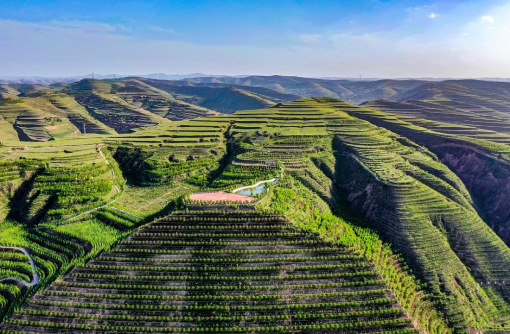 快来瞧!省媒再次聚焦会宁乡村振兴