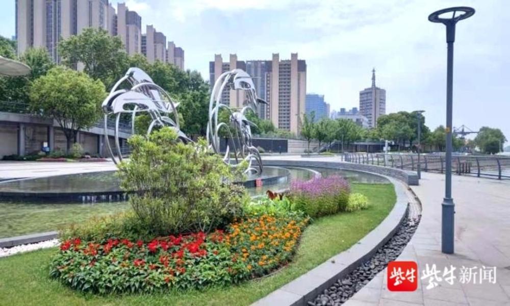 鼓楼中分岛花境马鞍山路绿地花境幕府南路广场"曲水流香"花境阳光广场