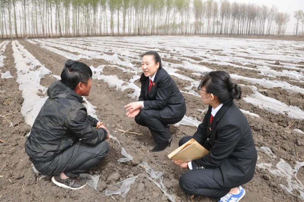 兴隆镇是巴彦县最大的乡镇,一镇通"四县(市)",也是巴彦唯一通火车的