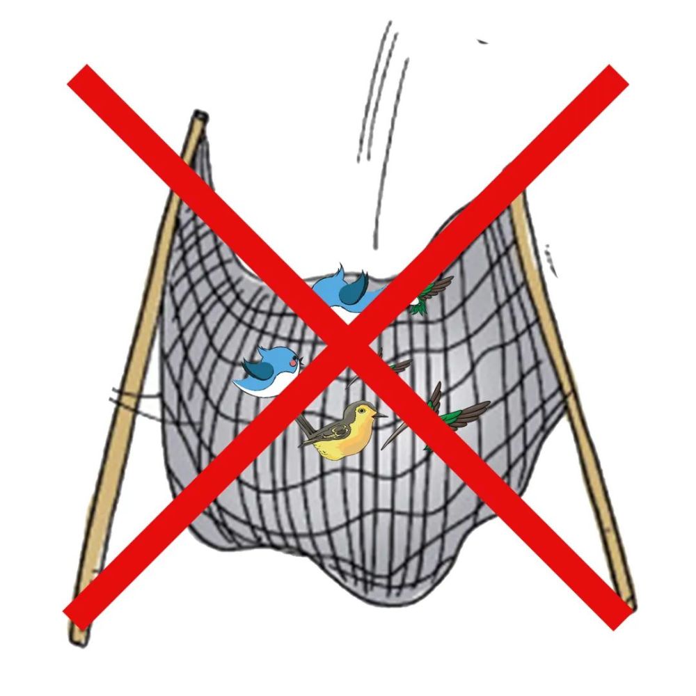以案說法丨捕鳥網護田,老農我錯了嗎?