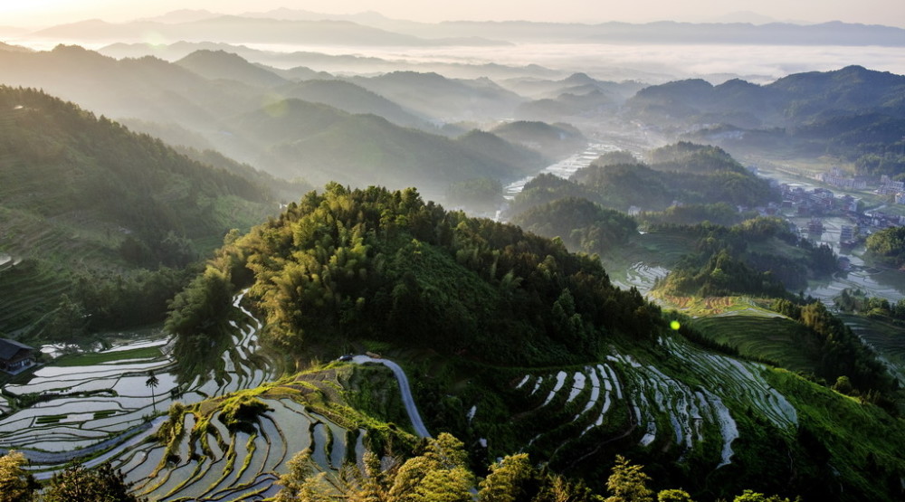 紫鹊界梯田介绍图片