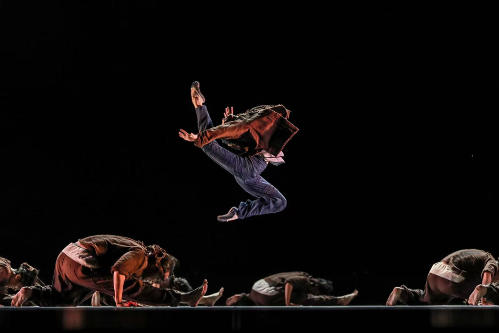 今年荷花奖花落谁家当代舞现代舞奖项5月底深圳揭晓